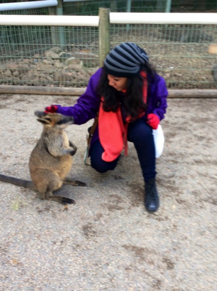 Hey, little fella. Making a new friend in Sydney.